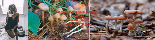 Альфа ПВП Алзамай