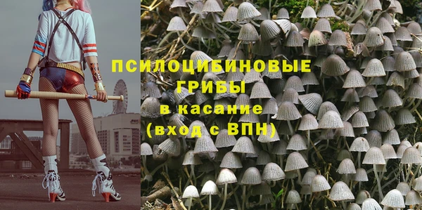 гашик Абаза