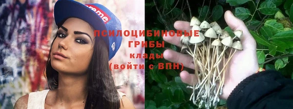 трава Абинск